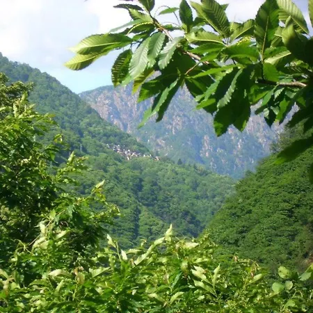 Ca' Del Pitur Cicogna * Cossogno