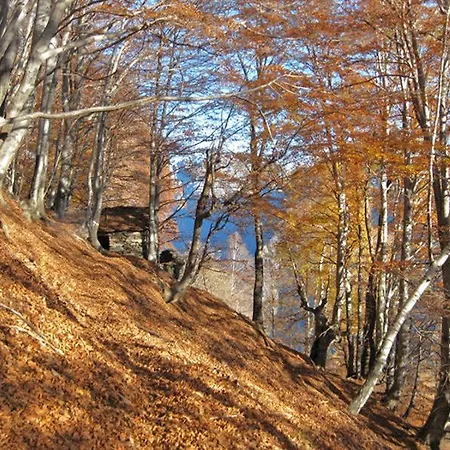 Ca' Del Pitur Cicogna * Cossogno